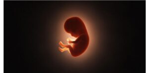 سهم زن و مرد در سقط جنین، بررسی دلایل سقط جنین 